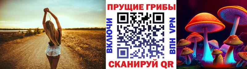 как найти закладки  Ноябрьск  Галлюциногенные грибы прущие грибы 